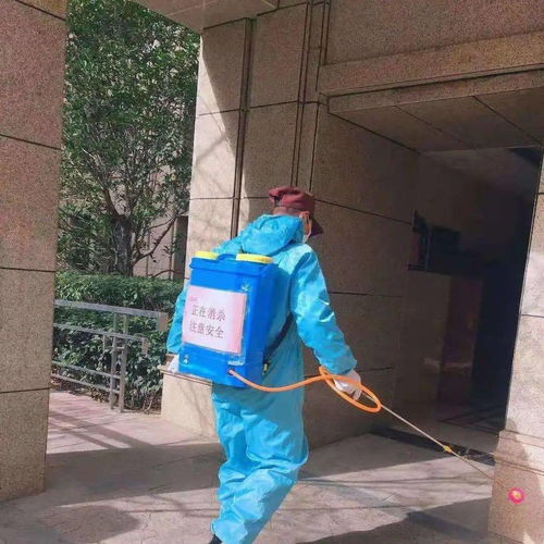 安全大過天 防寒防疫兩不誤 以“防疫健康包”為抓手，全力守護(hù)業(yè)主健康安全